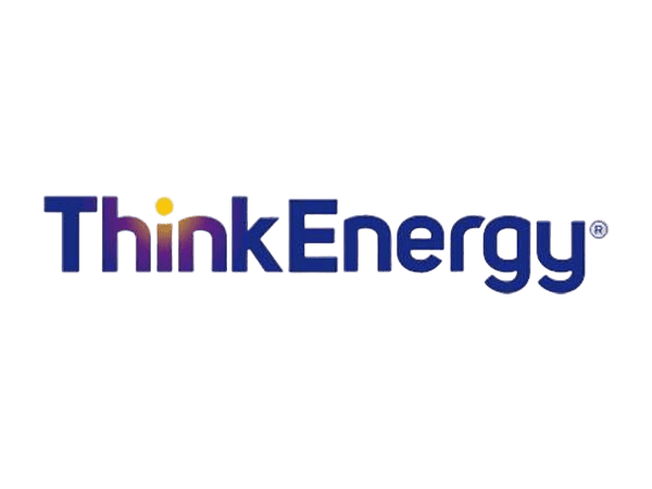 Think Energy logo
