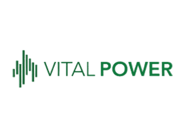 Vital Power logo